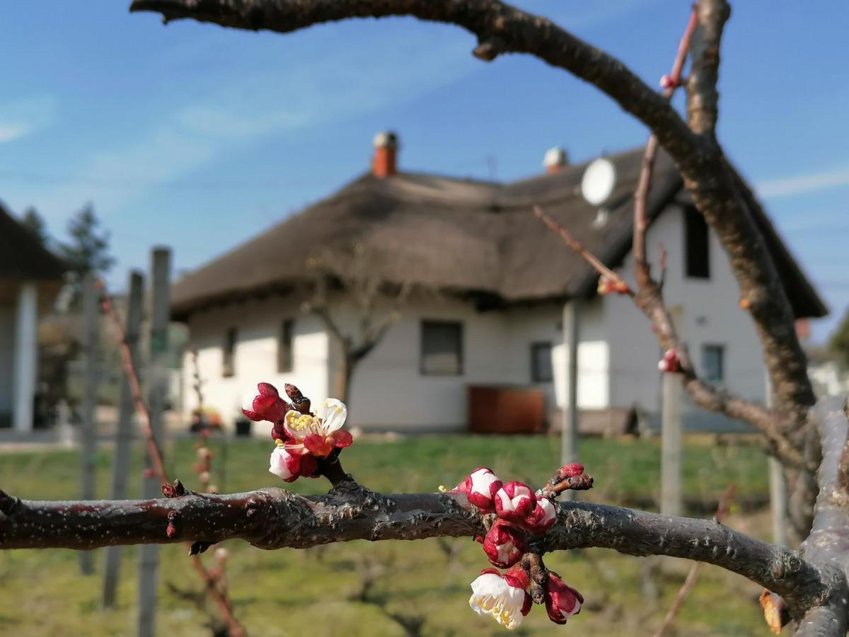 Angelic Cottage And Bikepoint Sukoro Экстерьер фото